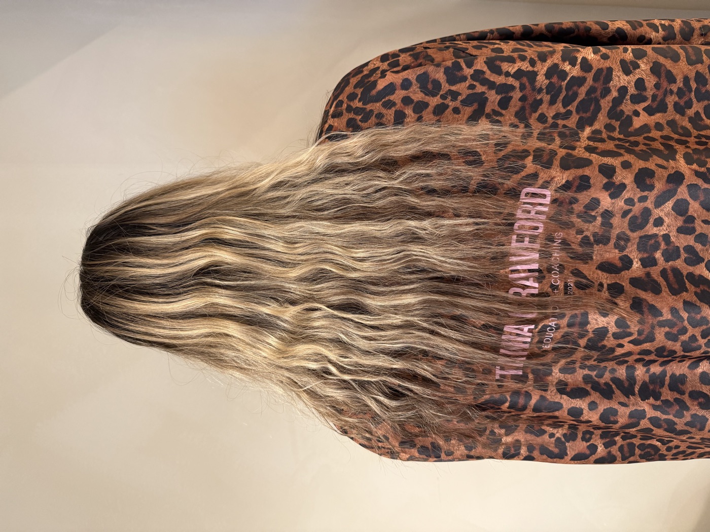 Before &mdash; natural hair before color and extensions